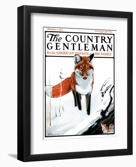 "Mice Hiding from Fox," Country Gentleman Cover, February 3, 1923-Paul Bransom-Framed Giclee Print