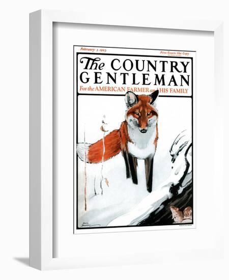 "Mice Hiding from Fox," Country Gentleman Cover, February 3, 1923-Paul Bransom-Framed Giclee Print