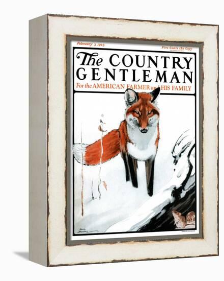"Mice Hiding from Fox," Country Gentleman Cover, February 3, 1923-Paul Bransom-Framed Premier Image Canvas
