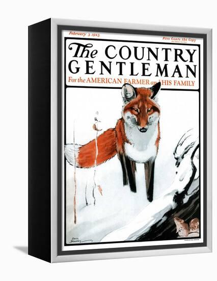 "Mice Hiding from Fox," Country Gentleman Cover, February 3, 1923-Paul Bransom-Framed Premier Image Canvas