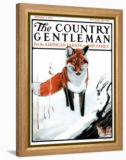 "Mice Hiding from Fox," Country Gentleman Cover, February 3, 1923-Paul Bransom-Framed Premier Image Canvas