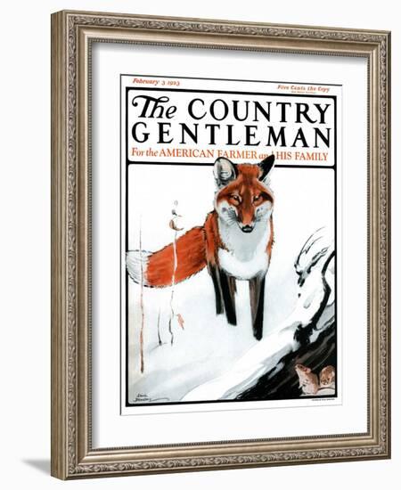 "Mice Hiding from Fox," Country Gentleman Cover, February 3, 1923-Paul Bransom-Framed Giclee Print