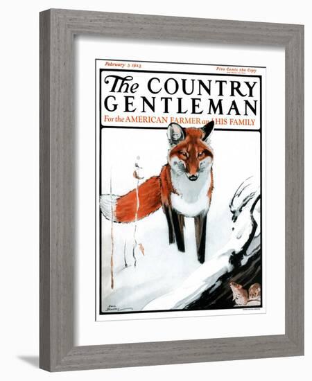 "Mice Hiding from Fox," Country Gentleman Cover, February 3, 1923-Paul Bransom-Framed Giclee Print