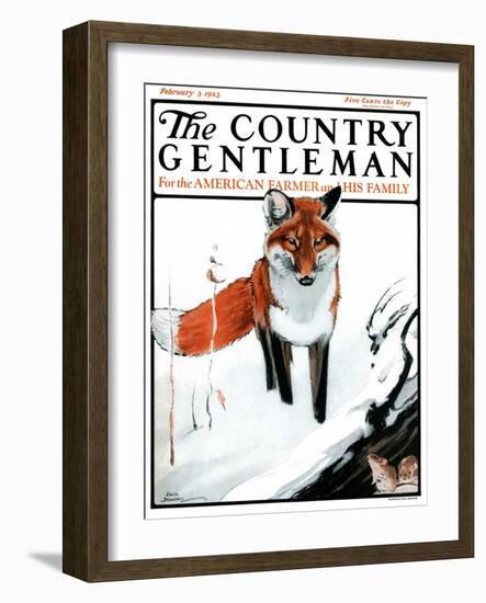 "Mice Hiding from Fox," Country Gentleman Cover, February 3, 1923-Paul Bransom-Framed Giclee Print