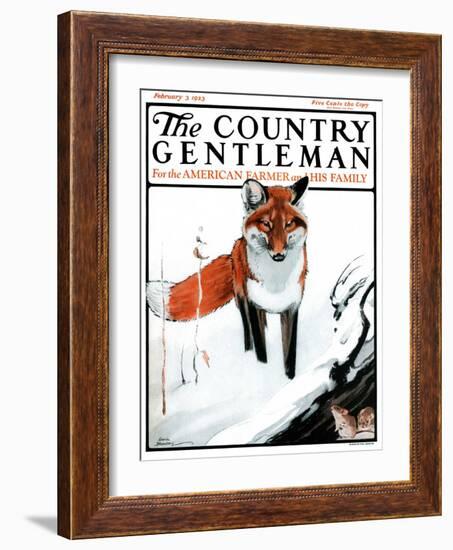 "Mice Hiding from Fox," Country Gentleman Cover, February 3, 1923-Paul Bransom-Framed Giclee Print