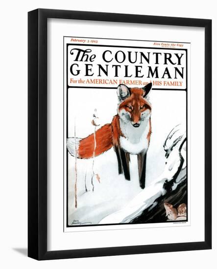 "Mice Hiding from Fox," Country Gentleman Cover, February 3, 1923-Paul Bransom-Framed Giclee Print