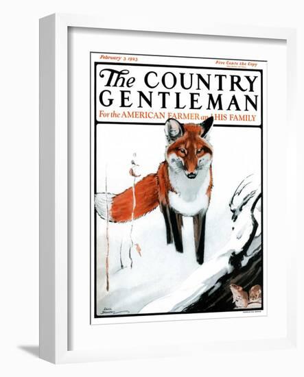 "Mice Hiding from Fox," Country Gentleman Cover, February 3, 1923-Paul Bransom-Framed Giclee Print