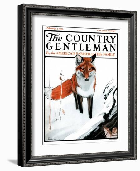 "Mice Hiding from Fox," Country Gentleman Cover, February 3, 1923-Paul Bransom-Framed Giclee Print