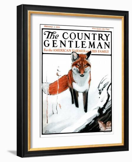 "Mice Hiding from Fox," Country Gentleman Cover, February 3, 1923-Paul Bransom-Framed Giclee Print