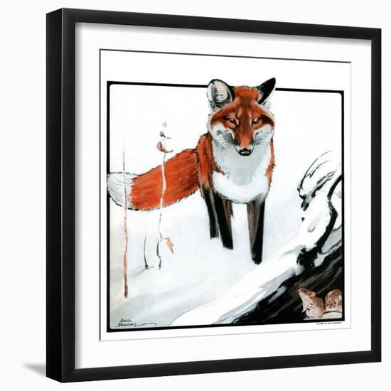 "Mice Hiding from Fox,"February 3, 1923-Paul Bransom-Framed Giclee Print