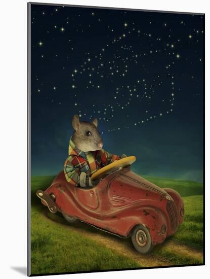 Mice Series #5.5-J Hovenstine Studios-Mounted Giclee Print