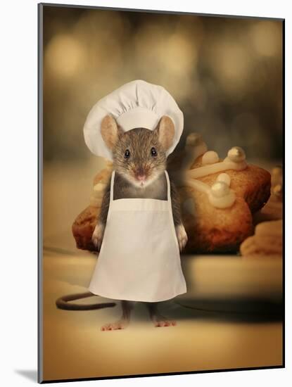 Mice Series #6.5-J Hovenstine Studios-Mounted Giclee Print