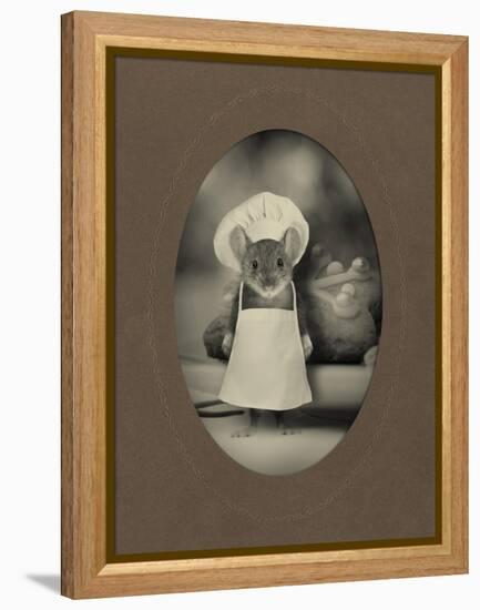 Mice Series #6-J Hovenstine Studios-Framed Premier Image Canvas