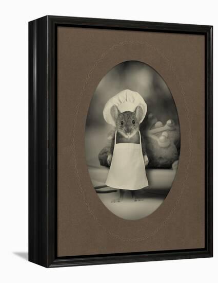 Mice Series #6-J Hovenstine Studios-Framed Premier Image Canvas