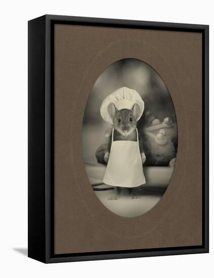 Mice Series #6-J Hovenstine Studios-Framed Premier Image Canvas