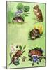 Mice, Voles and Shrews-Eric Tansley-Mounted Giclee Print