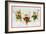 Mice with Candy Canes-Beverly Johnston-Framed Giclee Print