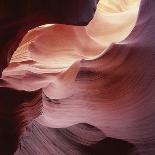 Aspen in autumn at Uinta National Forest-Micha Pawlitzki-Photographic Print