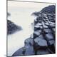 Premium Photographic Print