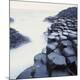 Premium Photographic Print