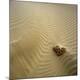 Premium Photographic Print
