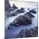 Premium Photographic Print