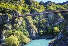 Aj Hackett Bungy Jumping on the Kawarau Bridge over the Kawarau River Near Queenstown-Michael-Photographic Print