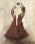 Flamenco II-Michael Alford-Stretched Canvas