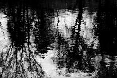 Reflecting Triptych II-Michael Barrett-Photo