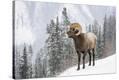 Stretched Canvas Print