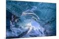 Premium Photographic Print