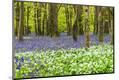 Premium Photographic Print