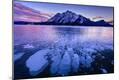 Premium Giclee Print