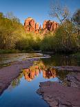 Cathedral Rock Reflection-Michael Blanchette Photography-Photographic Print
