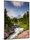 Photographic Print