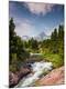 Photographic Print