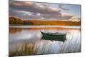 Photographic Print