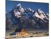 Photographic Print