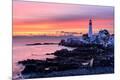 Photographic Print