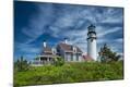 Photographic Print