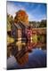 Photographic Print
