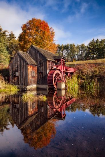 Premium Photographic Print, , large