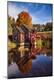 Photographic Print