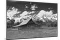 Photographic Print