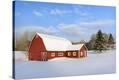 Stretched Canvas Print