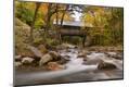Photographic Print