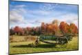 Photographic Print