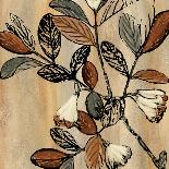 Floris Botanica II-Michael Brey-Art Print