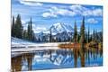 Premium Giclee Print