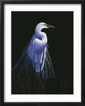 Tableau Toile Plumes D’Oiseau – Impression Haute Qualité, Choix De Taille